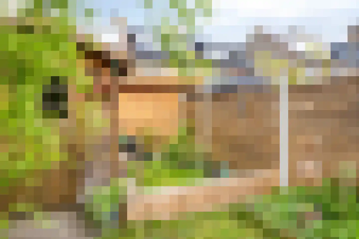 Van Keppelmarke 29 Zwolle thumbnail 33