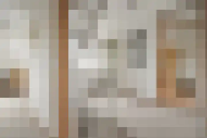 Van Keppelmarke 3 Zwolle thumbnail 14
