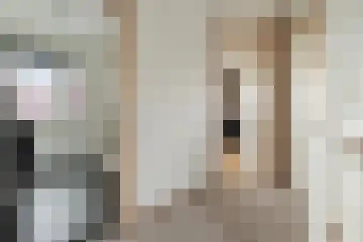 Van Keppelmarke 3 Zwolle thumbnail 16