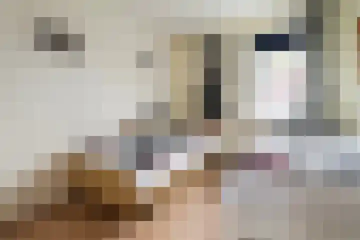Van Keppelmarke 3 Zwolle thumbnail 19
