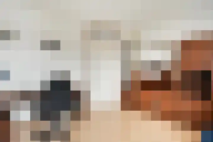 Van Keppelmarke 3 Zwolle thumbnail 23