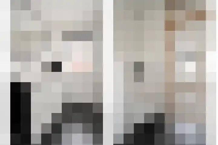 Van Keppelmarke 3 Zwolle thumbnail 25