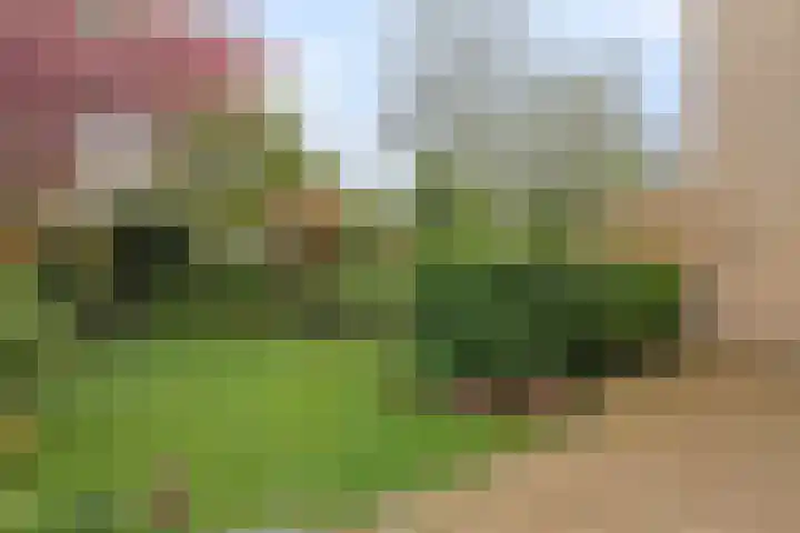 Van Keppelmarke 3 Zwolle thumbnail 33