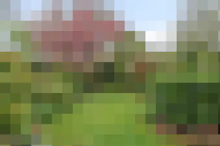 Van Keppelmarke 3 Zwolle thumbnail 34