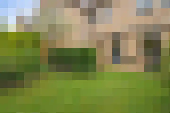 Van Keppelmarke 3 Zwolle thumbnail 35
