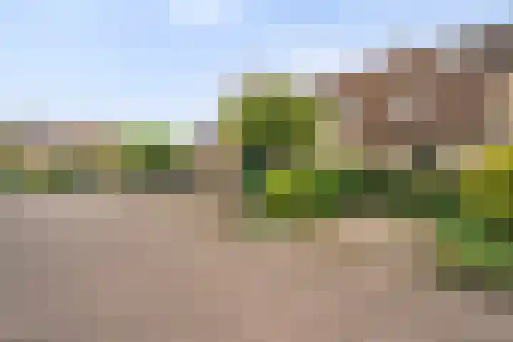 Van Keppelmarke 3 Zwolle thumbnail 36