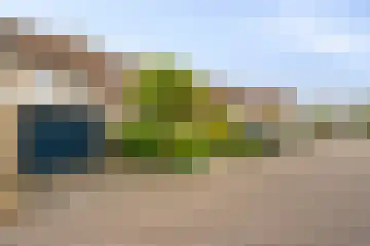 Van Keppelmarke 3 Zwolle thumbnail 37