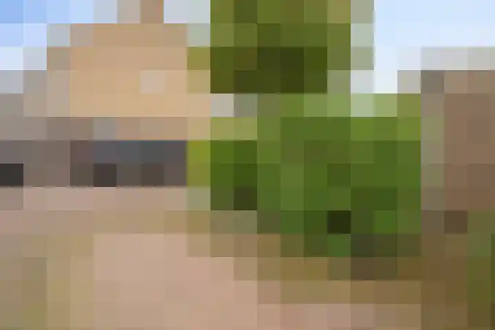 Van Keppelmarke 3 Zwolle thumbnail 38