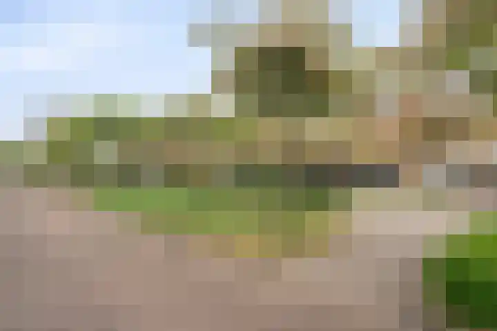 Van Keppelmarke 3 Zwolle thumbnail 39