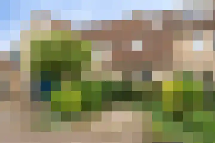 Van Keppelmarke 3 Zwolle thumbnail 43