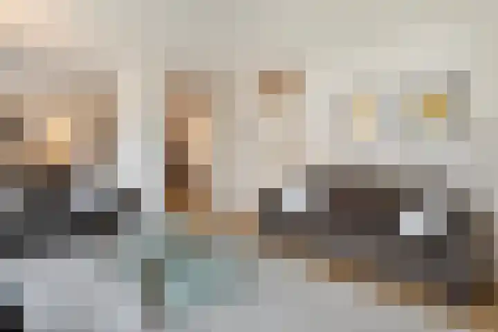 Van Keppelmarke 3 Zwolle thumbnail 7