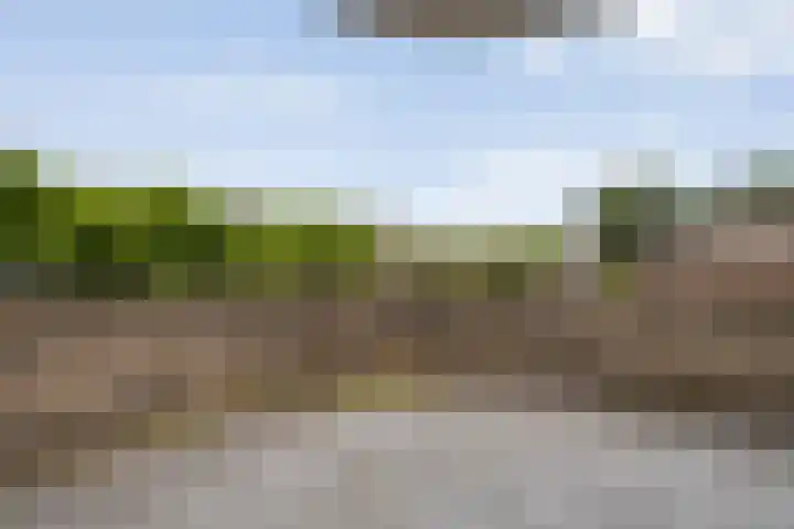 Van Keppelmarke 41 Zwolle thumbnail 21
