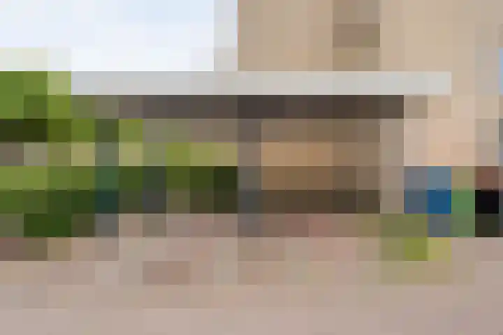 Van Keppelmarke 41 Zwolle thumbnail 23