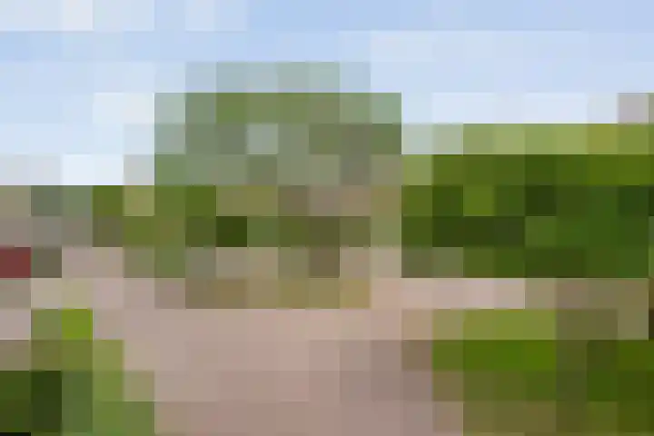 Van Keppelmarke 41 Zwolle thumbnail 24