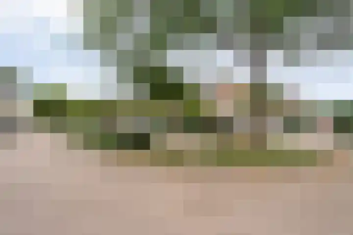 Van Keppelmarke 41 Zwolle thumbnail 25
