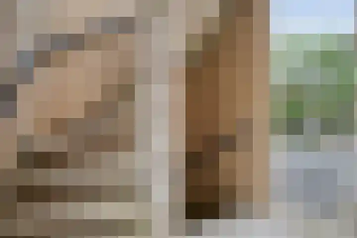 Van Keppelmarke 41 Zwolle thumbnail 4