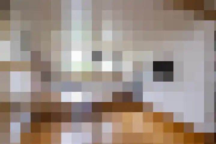 Van Keppelmarke 5 Zwolle thumbnail 10