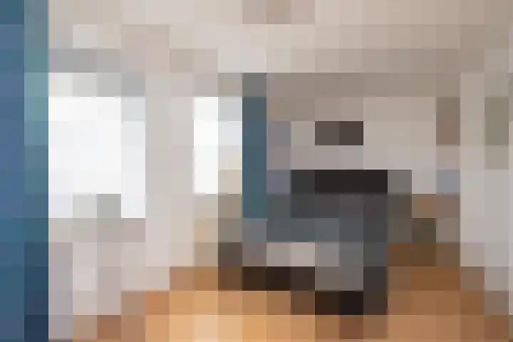 Van Keppelmarke 5 Zwolle thumbnail 14
