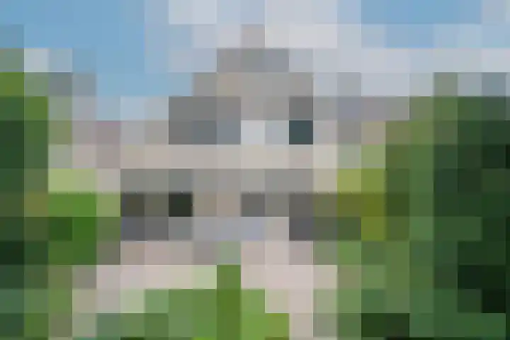 Van Keppelmarke 5 Zwolle foto 2