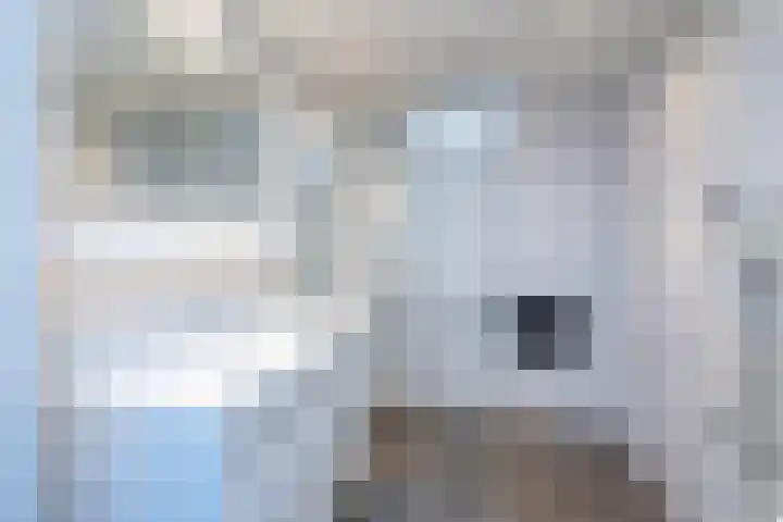Van Keppelmarke 5 Zwolle thumbnail 21