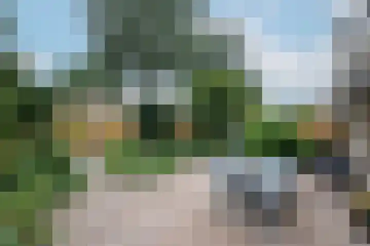 Van Keppelmarke 5 Zwolle thumbnail 32