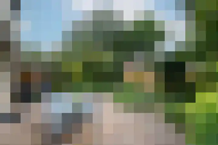 Van Keppelmarke 5 Zwolle thumbnail 34