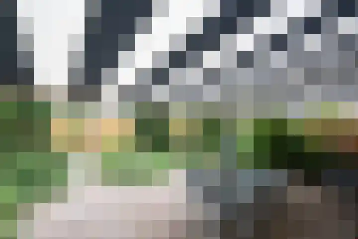 Van Keppelmarke 5 Zwolle thumbnail 35