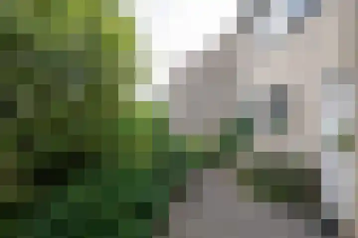Van Keppelmarke 5 Zwolle thumbnail 38