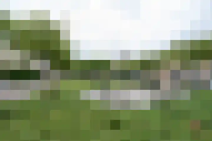 Van Keppelmarke 5 Zwolle thumbnail 40