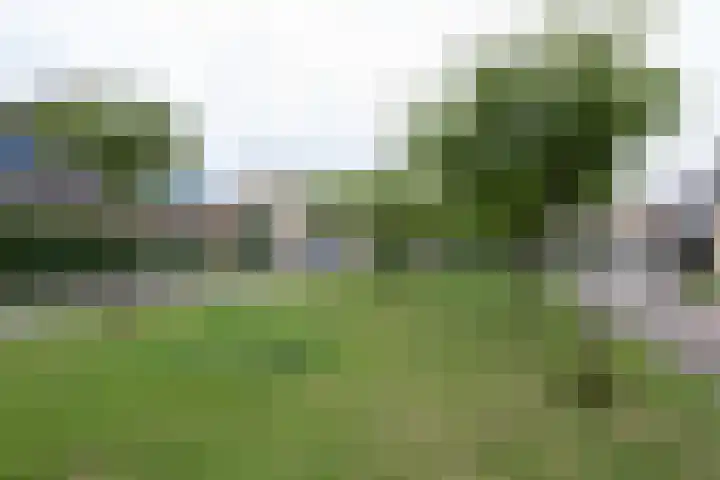 Van Keppelmarke 5 Zwolle thumbnail 41