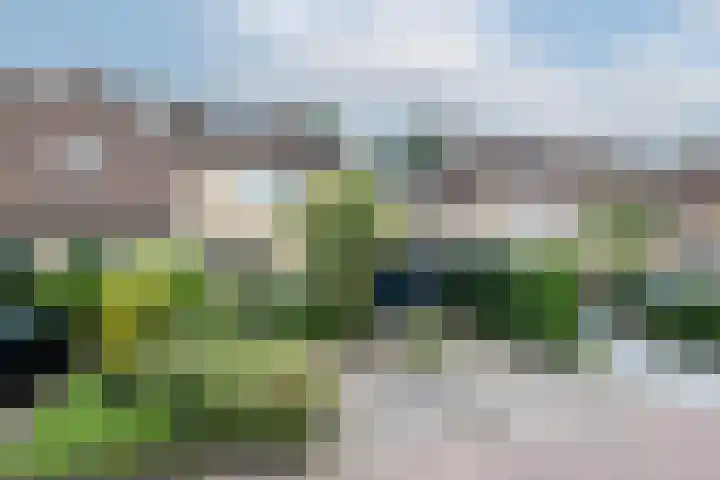 Van Keppelmarke 5 Zwolle thumbnail 45
