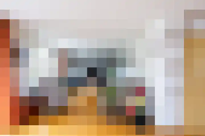 Van Keppelmarke 5 Zwolle thumbnail 5