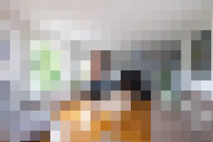Van Keppelmarke 5 Zwolle thumbnail 6