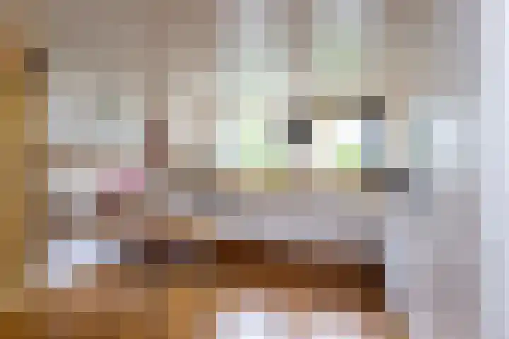 Van Keppelmarke 5 Zwolle thumbnail 9