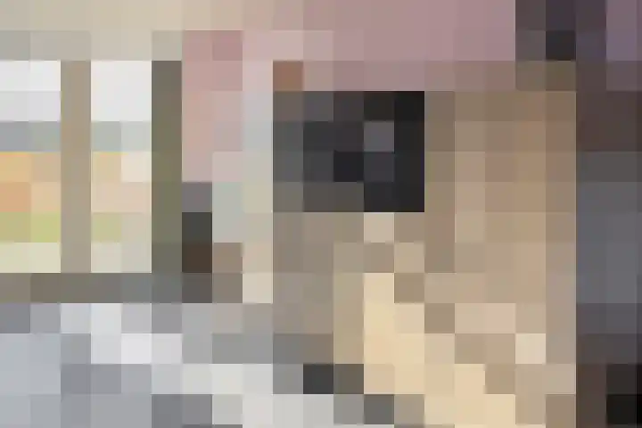 Van Kerkwijkhof 18 Ouddorp thumbnail 14