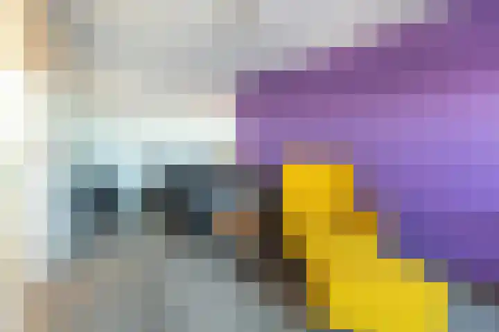 Van Kerkwijkhof 18 Ouddorp thumbnail 26