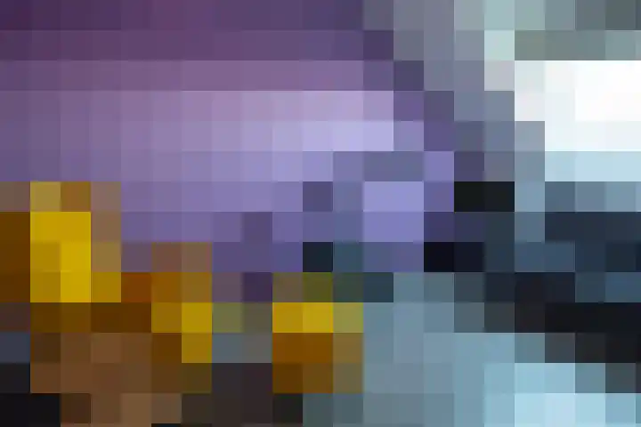 Van Kerkwijkhof 18 Ouddorp thumbnail 27