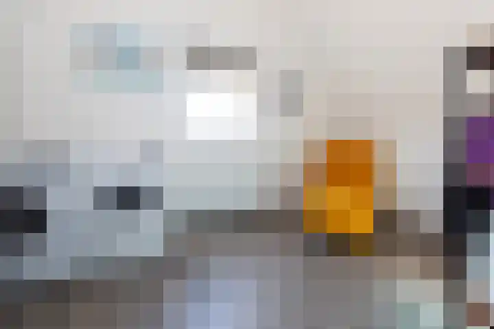 Van Kerkwijkhof 18 Ouddorp thumbnail 29