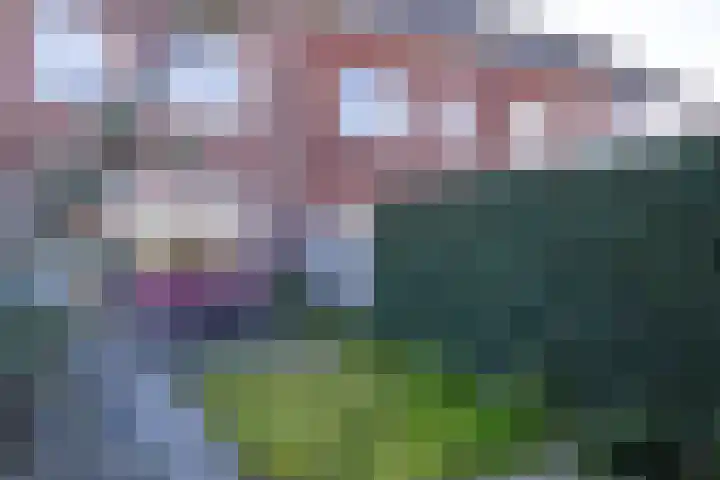 Van Kerkwijkhof 18 Ouddorp thumbnail 36