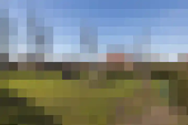 Van Kerkwijkhof 18 Ouddorp thumbnail 40