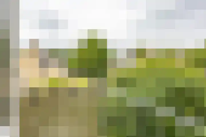 Van Ketwich Verschuurlaan 109 Groningen thumbnail 26