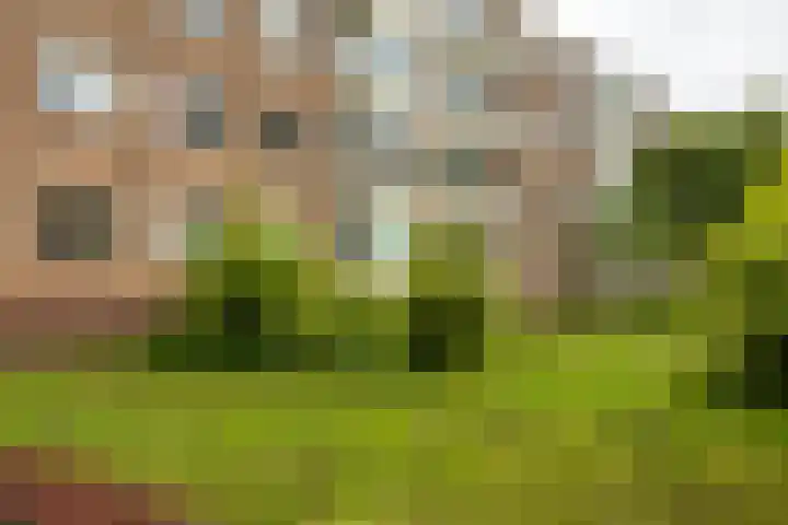 Van Ketwich Verschuurlaan 109 Groningen thumbnail 32