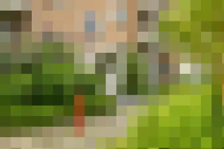 Van Ketwich Verschuurlaan 109 Groningen thumbnail 34