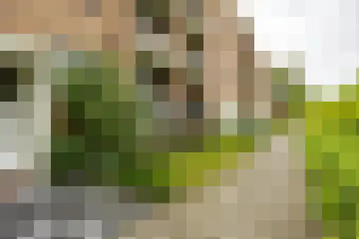 Van Ketwich Verschuurlaan 109 Groningen thumbnail 35