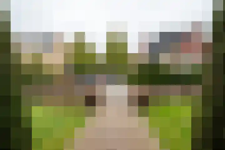 Van Ketwich Verschuurlaan 12 Groningen thumbnail 11