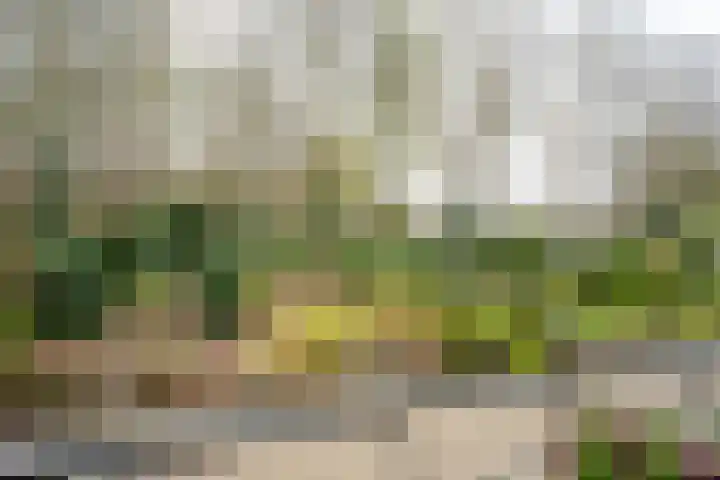 Van Ketwich Verschuurlaan 12 Groningen thumbnail 23