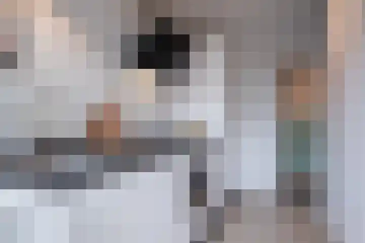 Van Ketwich Verschuurlaan 12 Groningen thumbnail 4