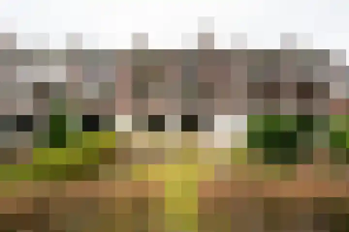 Van Ketwich Verschuurlaan 12 Groningen thumbnail 41