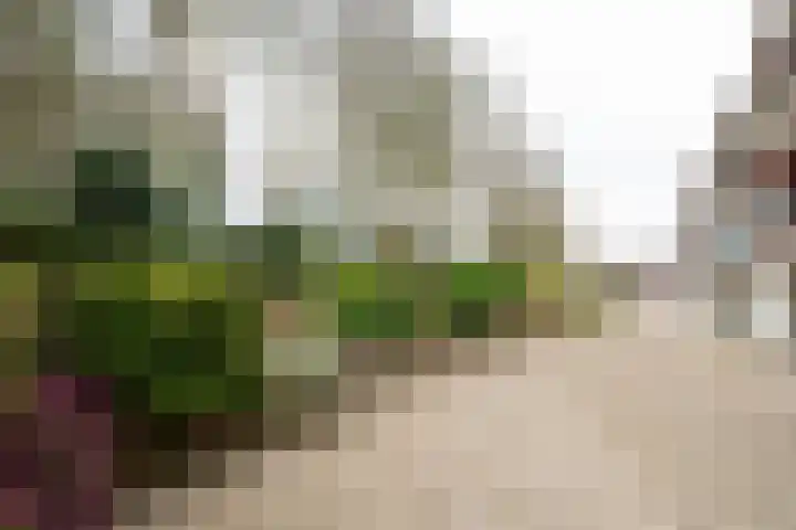 Van Ketwich Verschuurlaan 12 Groningen thumbnail 42