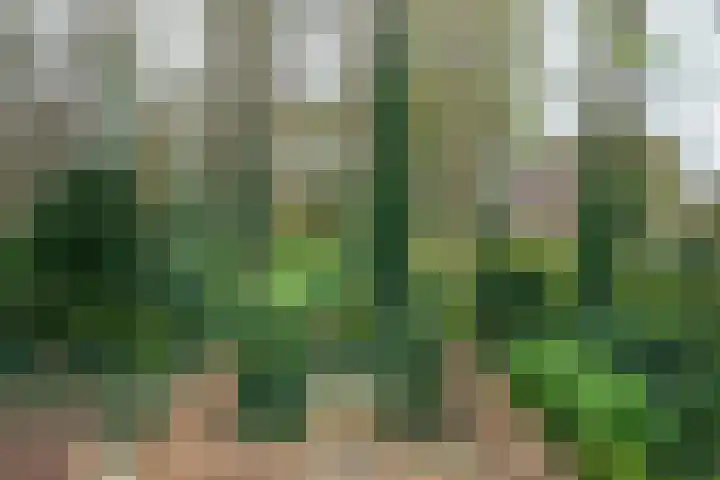 Van Ketwich Verschuurlaan 12 Groningen thumbnail 43